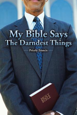 Cover of the book My Bible Says the Darndest Things by Victoria Fabling