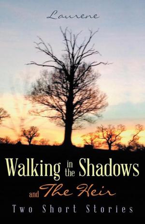 Cover of the book Walking in the Shadows by Rudie Van Rensburg