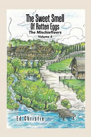 Cover of the book The Sweet Smell of Rotten Eggs by Tyger B. Dacosta