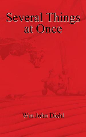 Cover of the book Several Things at Once by Patrick Dzieciol