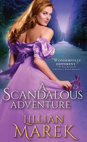 Cover of the book A Scandalous Adventure by Mary Reed