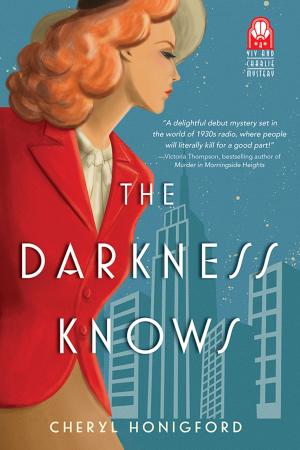 Cover of the book The Darkness Knows by Stephanie Julian