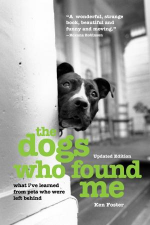 Book cover of The Dogs Who Found Me