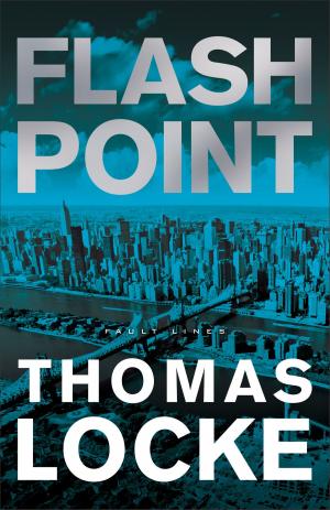 Cover of the book Flash Point (Fault Lines) by Malia Ann Haberman