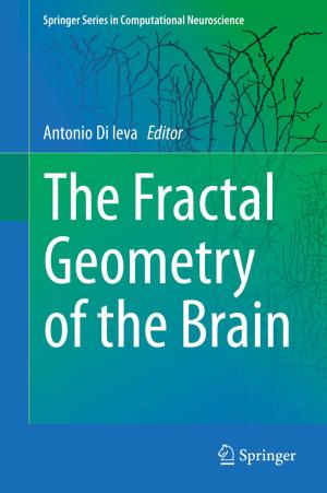 Cover of the book The Fractal Geometry of the Brain by Francesco Bellocchio, N. Alberto Borghese, Stefano Ferrari, Vincenzo Piuri