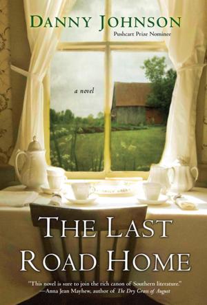 Cover of the book The Last Road Home by Alyssa Maxwell