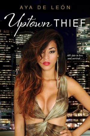 Cover of the book Uptown Thief by Liz Mugavero