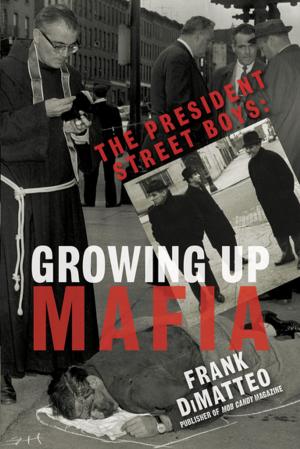 Cover of the book The President Street Boys by Bruno Emil König