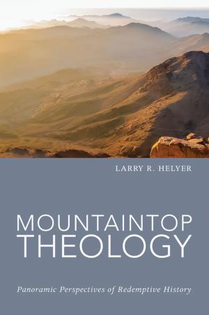 bigCover of the book Mountaintop Theology by 