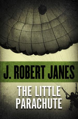 Cover of the book The Little Parachute by Pete Buckley