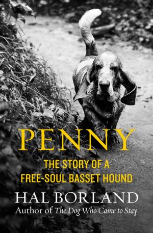 Cover of the book Penny by Jaqueline Girdner