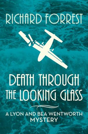 Cover of the book Death Through the Looking Glass by Devorah Fox