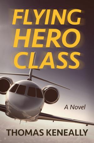 Cover of the book Flying Hero Class by Jan DeBlieu