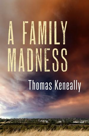 Cover of the book A Family Madness by Jana Harris