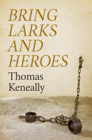 Cover of the book Bring Larks and Heroes by Elizabeth Cooke