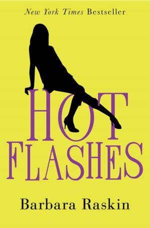 Cover of the book Hot Flashes by Barbara Hambly