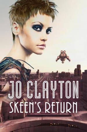 Cover of the book Skeen's Return by Jane Yolen