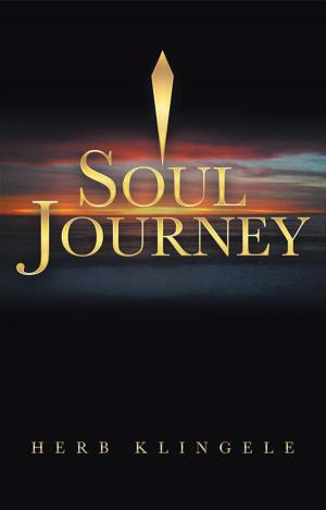 Cover of the book Soul Journey by @1Rebone