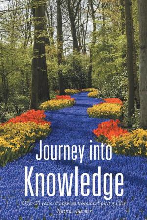 Cover of the book Journey into Knowledge by Mary Jo Mc Veigh