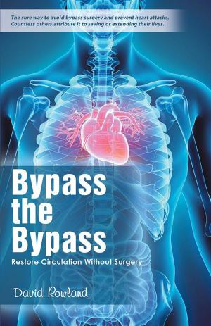Cover of the book Bypass the Bypass by Sheila Fugard