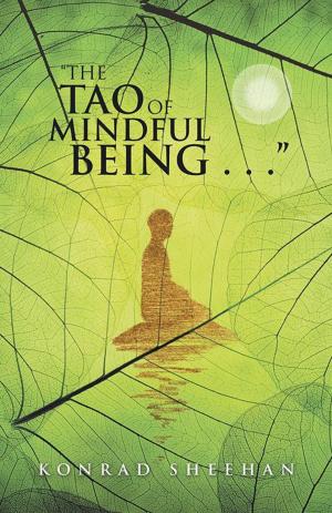 Cover of the book “The Tao of Mindful Being . . .” by Saqib Hussain