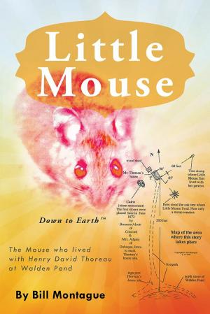 Cover of the book Little Mouse by Judith Attfield