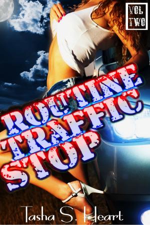 Cover of the book Routine Traffic Stop Volume Two by Delores Swallows