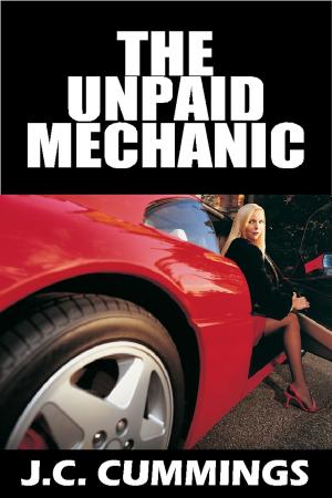 Book cover of The Unpaid Mechanic