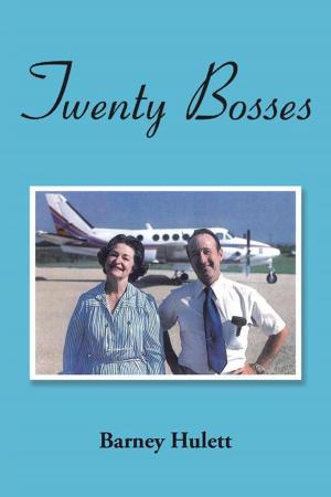 Cover of the book Twenty Bosses by Linda Anne Monica Schneider