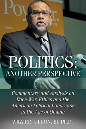 Cover of the book Politics: Another Perspective by J.Paul Stenchion