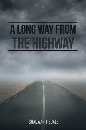 Cover of the book A Long Way from the Highway by Abbot George Burke (Swami Nirmalananda Giri)