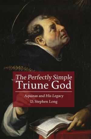Cover of the book The Perfectly Simple Triune God by Chammah J. Kaunda