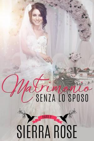 Cover of the book Matrimonio senza lo sposo - Parte 2 by Barbara Riedel