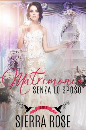Cover of the book Matrimonio senza lo sposo - Parte 3 by Angel Steel