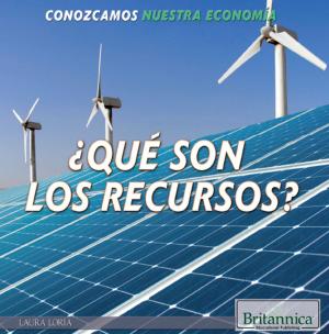 Book cover of ¿Qué son los recursos? (What Are Resources?)