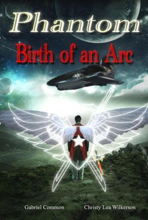 Book cover of Phantom: Birth of an Arc