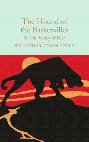 Cover of the book The Hound of the Baskervilles & The Valley of Fear by Carol Ann Duffy