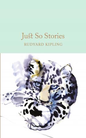 Cover of the book Just So Stories by EJ Knapp