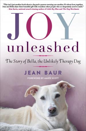 Cover of the book Joy Unleashed by Jonathan Green