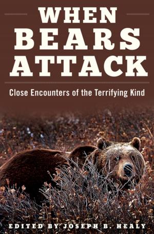 Book cover of When Bears Attack