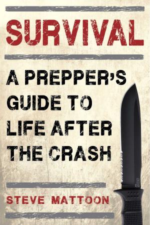Cover of the book Survival by Maria Costantino, Flame Tree iGuides