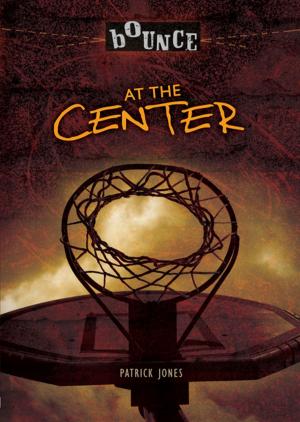 Cover of the book At the Center by L. E. Carmichael
