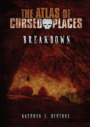 Cover of the book Breakdown by K. R. Coleman