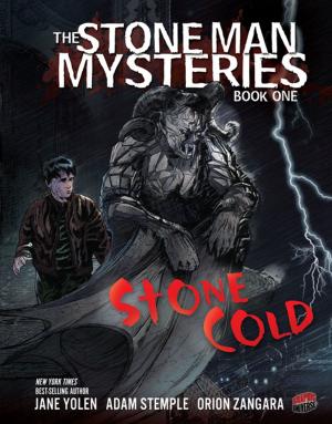 Cover of the book Stone Cold by Jodie Shepherd