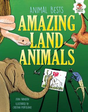 Cover of the book Amazing Land Animals by Jennifer Boothroyd