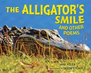 Book cover of The Alligator's Smile