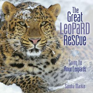 Cover of The Great Leopard Rescue