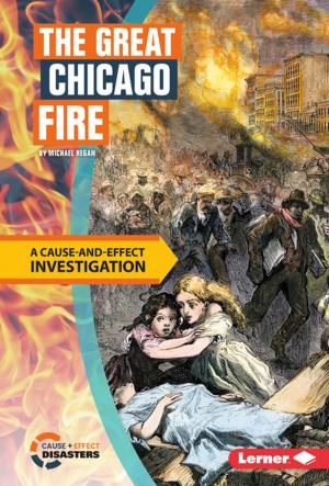 Book cover of The Great Chicago Fire