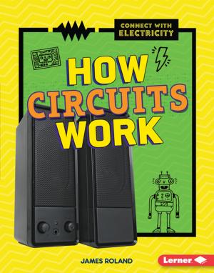 Cover of the book How Circuits Work by Martha E. H. Rustad