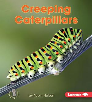Book cover of Creeping Caterpillars